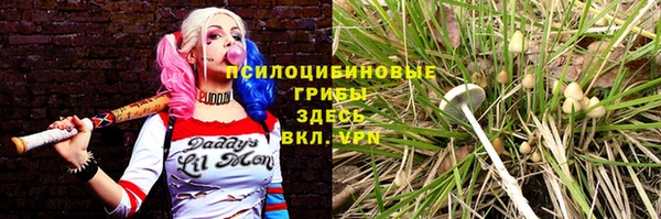 ешки Сосновоборск