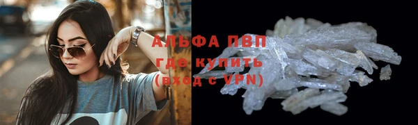 спиды Сосновка