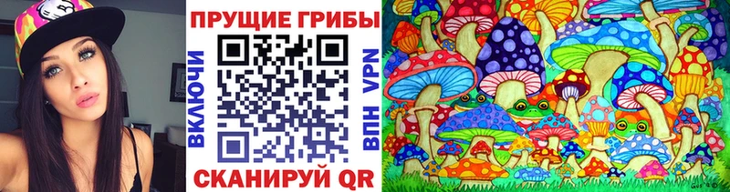 Псилоцибиновые грибы Psilocybe Тайшет