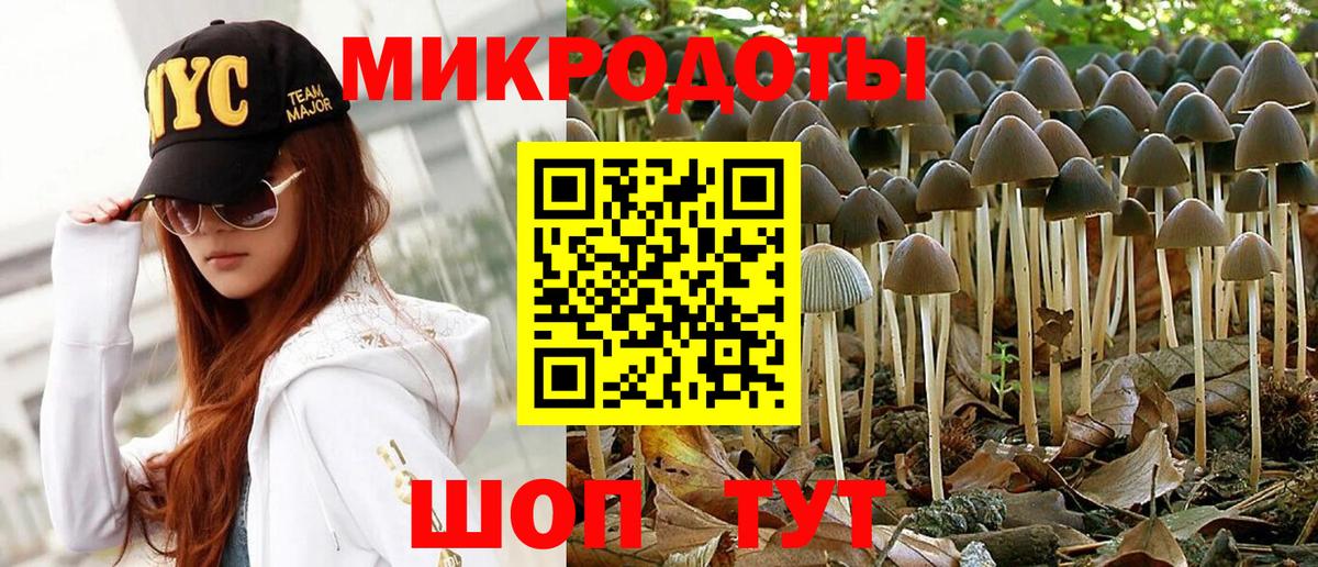 Псилоцибиновые грибы Psilocybe  Вход с VPN  Тайшет  Галлюциногенные грибы прущие грибы 
