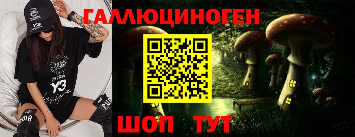 Галлюциногенные грибы Psilocybe  Псилоцибиновые грибы Psilocybe  Тайшет 