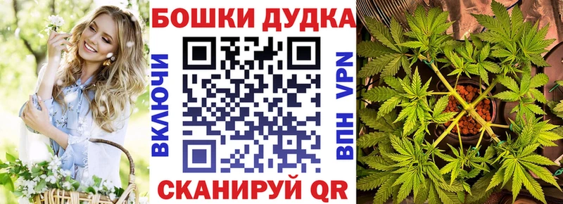 Марихуана сатива Тайшет