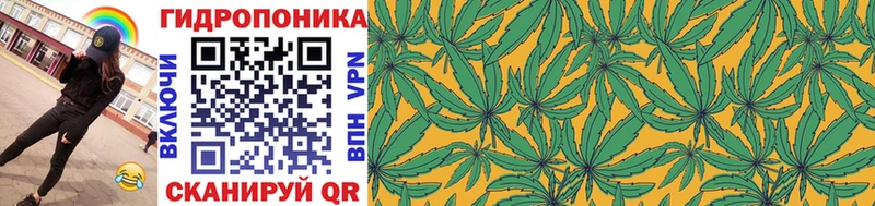 где продают   Тайшет  Конопля семена 